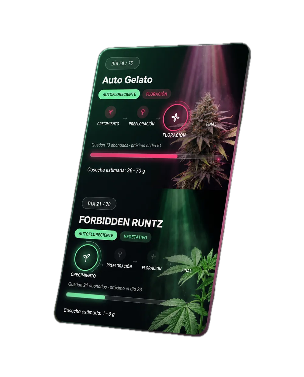 Seguimiento de GrowScope con día del ciclo, etapa y previsión de cosecha.