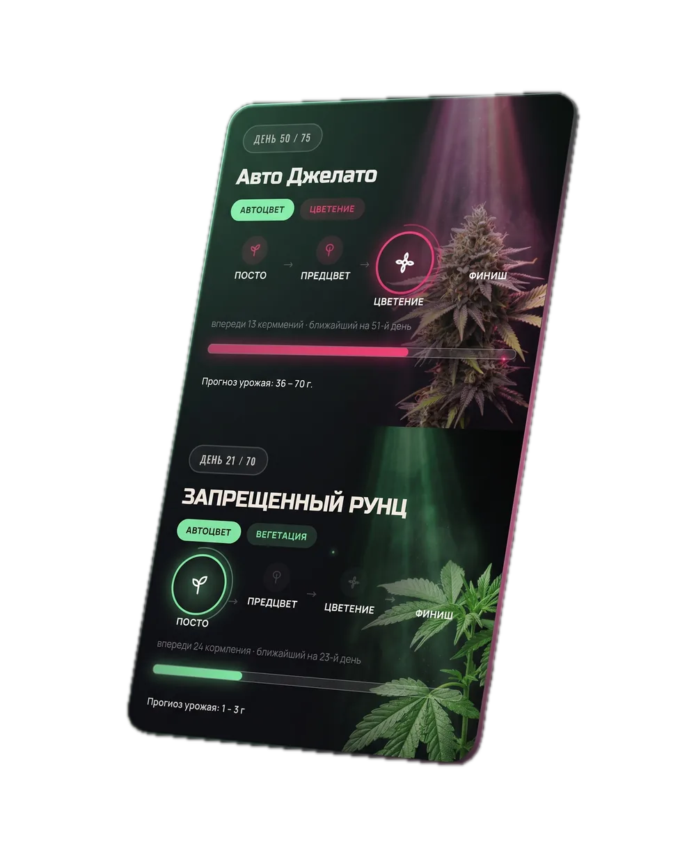 Экран GrowScope с днём цикла, стадией роста и прогнозом сбора.