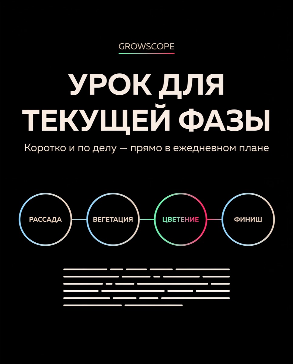 GrowScope "Lesson for the Current Phase" promo card