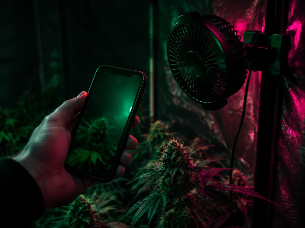 Fan Analyzer